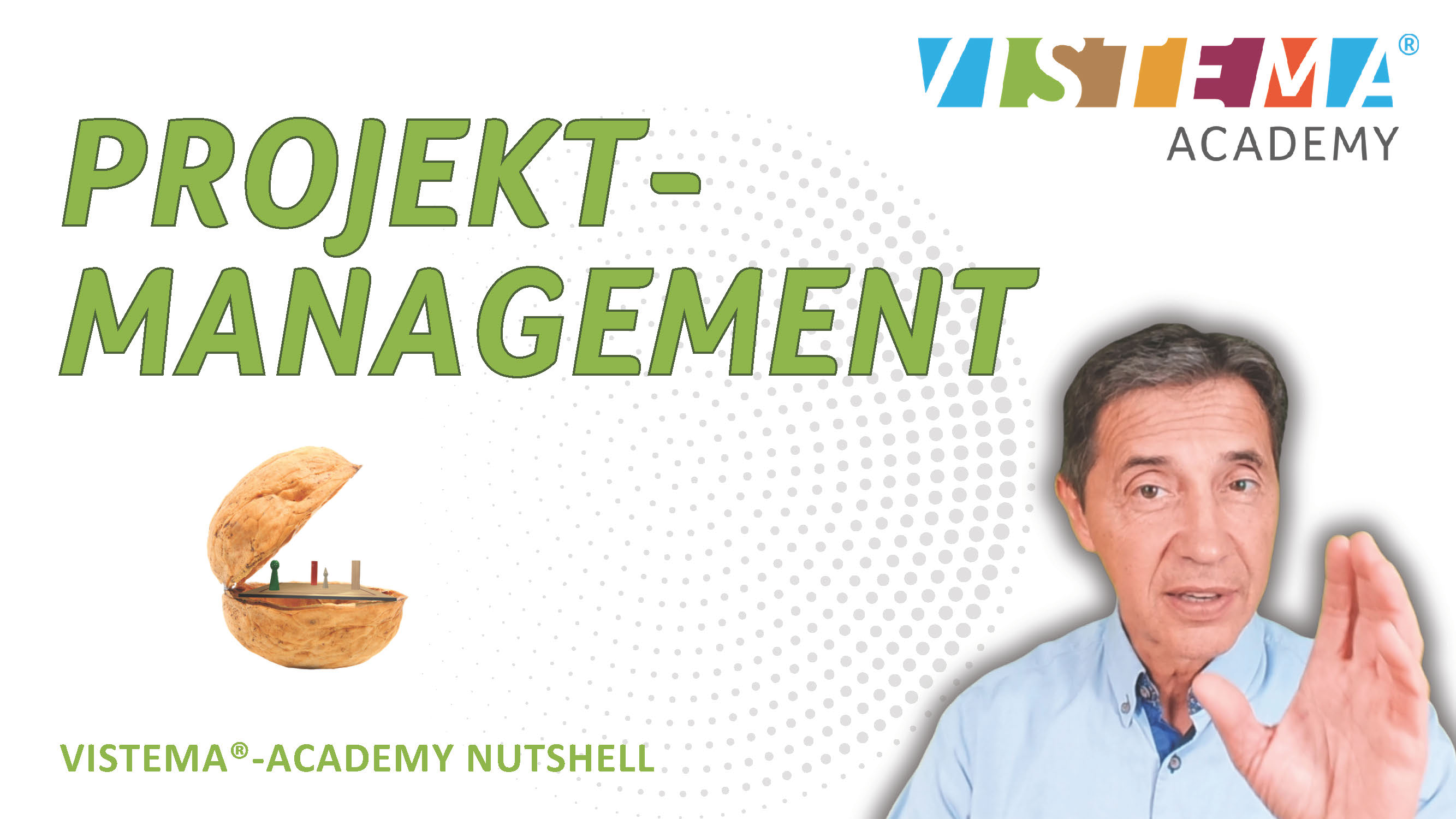 Projektmanagement - in a Nutshell